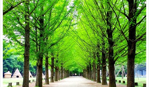 Nami Island